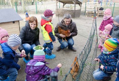 Kinder und Erzieherinnen der Kita in Resse haben Freude an den fünf Hühnern, die Thomas Weiss ihnen näher bringt. Foto: Andrea Hesse